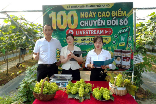 Bùng nổ livestream bán hàng, người tiêu dùng cần được bảo vệ bằng thông tin minh bạch