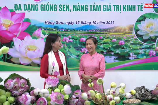 Xã Hồng Sơn quảng bá mô hình trồng sen gắn với chuyển đổi số