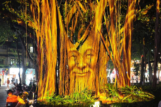 Độc đáo trình diễn 3D Mapping trên cây đa cổ bên Hồ Gươm