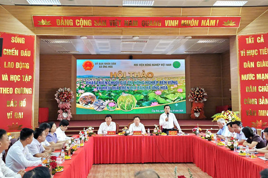 Ứng Hòa: Phát triển nông nghiệp từ chuỗi giá trị
