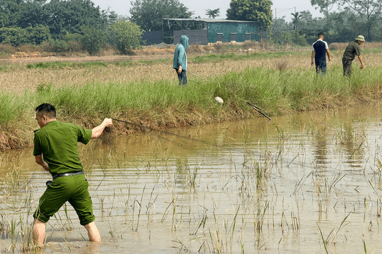 Xử lý nghiêm các trường hợp vi phạm về săn bắt động vật hoang dã