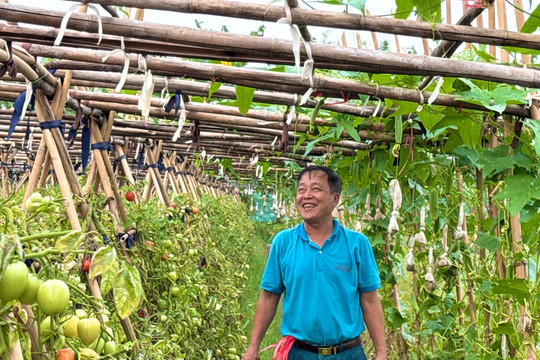 FAO: Đổi mới nông nghiệp phải gắn với hiệu quả kinh tế