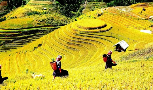 Việt Nam đứng thứ 4 trong 15 điểm đến dẫn đầu xu hướng du lịch mùa thu 2026
