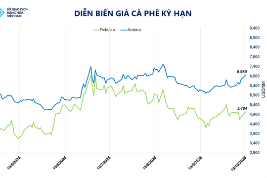 Giá cà phê tăng mạnh do lo ngại rủi ro thời tiết
