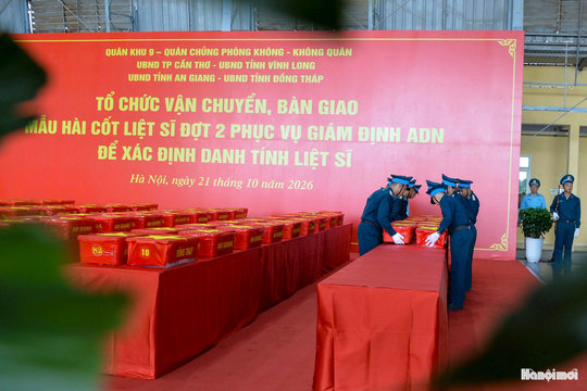 Chuyến bay đặc biệt đưa 8.453 mẫu sinh phẩm hài cốt liệt sĩ ra Hà Nội giám định ADN