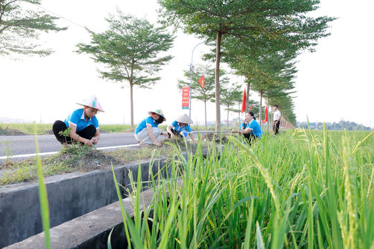 Kiến tạo không gian sống xanh, sạch, đẹp ở xã Thư Lâm