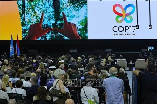 COP17 tìm giải pháp tài chính cho bảo vệ thiên nhiên