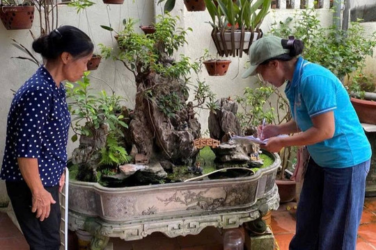 Xã Đan Phượng: Mỗi người dân là một mắt xích phòng, chống sốt xuất huyết
