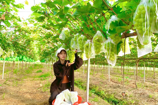 Xây dựng hệ sinh thái hỗ trợ nông dân toàn diện