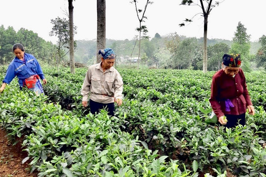 Hà Nội ban hành quy định chuẩn nghèo đa chiều giai đoạn 2027-2030