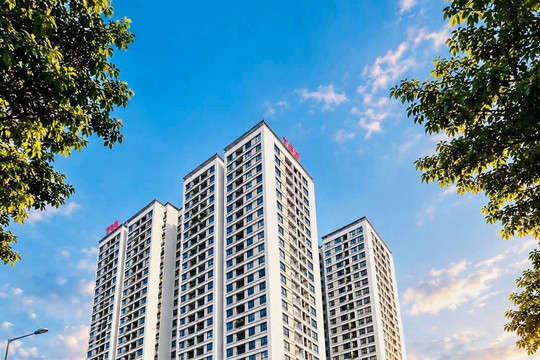 Vay tiêu dùng: Dễ vay nhưng có dễ trả?