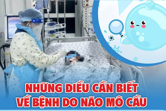 Những điều cần biết về bệnh do não mô cầu