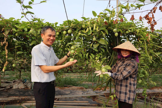 Xây dựng nông thôn mới ở An Khánh thích ứng với nhịp sống đô thị