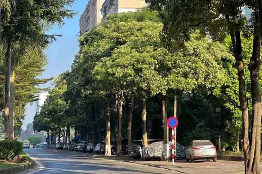 Hà Nội ngày nắng, đêm không mưa