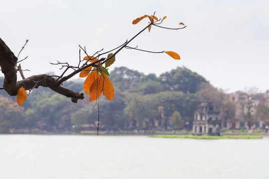 Bước chậm cuối mùa thu