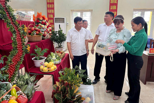 Đưa cuộc vận động “Người Việt Nam ưu tiên dùng hàng Việt Nam” đi vào thực chất