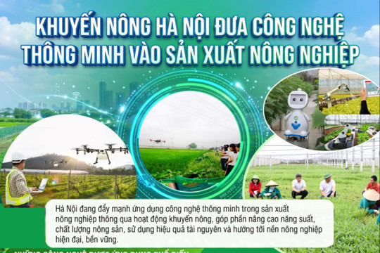 Khuyến nông Hà Nội đưa công nghệ thông minh vào sản xuất nông nghiệp