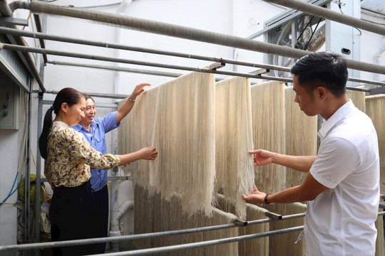 Làng nghề miến dong tăng tốc vào vụ cuối năm