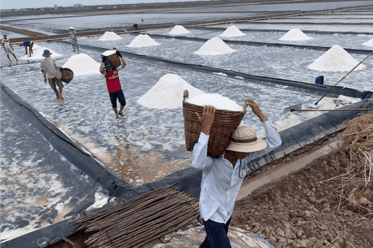 Cà Mau đặt mục tiêu nâng giá trị sản phẩm muối ít nhất 30% đến năm 2030