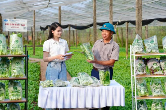 Hội Nông dân Sơn Đồng: Kết nối, xây dựng nhiều chi hội, tổ hội nông dân nghề nghiệp