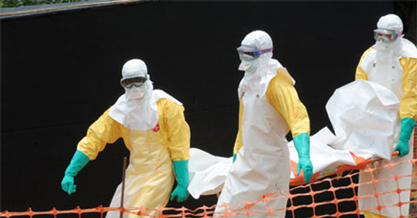 Virus Ebola có thể gây nguy hiểm như thế nào cho con người?