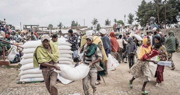 Bất ổn an ninh lương thực toàn cầu: Mối lo ngày càng gia tăng