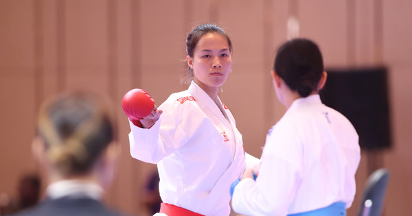 柔術和空手道為越南體育再奪兩枚銅牌