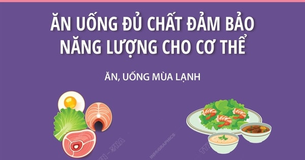 Chất nào là nguồn năng lượng chính cho cơ thể người?