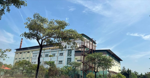 hanoimoi.vn