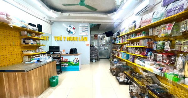 Xuất khẩu 'made in Vietnam' bứt phá: Chất lượng cao, thị trường mở rộng | Báo Hànộimới