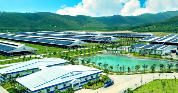 Tin tức đặc biệt trên báo in Hànộimới ngày 6-7-2025