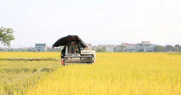 Tin tức đặc biệt trên báo in Hànộimới ngày 30-7-2025
