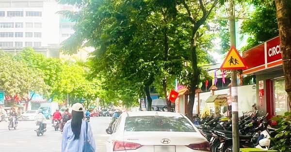 hanoimoi.vn