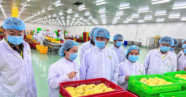 Nông sản Việt nâng chuẩn để vươn xa