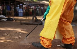 WHO công bố dịch Ebola tại Uganda