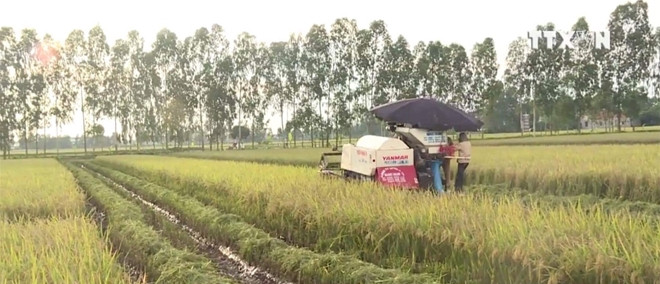 Công an huyện Mê Linh khởi tố vụ án vụ “bảo kê” máy gặt tại xã Thạch Đà