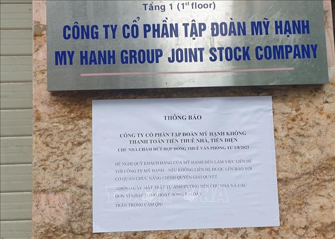Hà Nội: Điều tra dấu hiệu lừa đảo ở công ty mạo danh trồng sâm Ngọc Linh