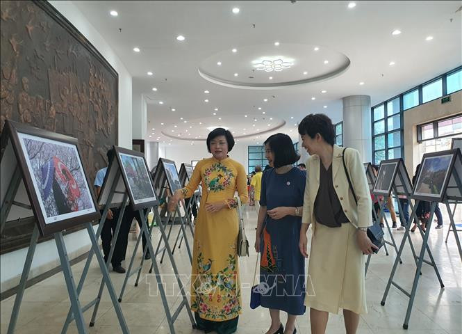 Ngày hội Việt Nam - Nhật Bản năm 2023: Đậm nét văn hóa và dấu ấn tình hữu nghị