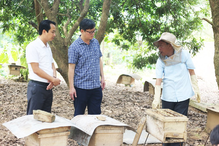 Quản lý đất lâm nghiệp, đất rừng tại Hà Nội: Sớm tháo gỡ các bất cập