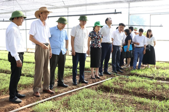 Tạo dựng hệ sinh thái số nông nghiệp