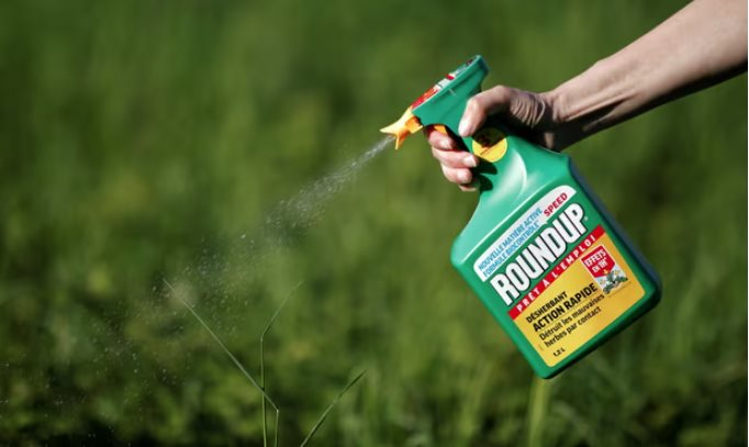 EU gia hạn thời gian sử dụng thuốc diệt cỏ glyphosate