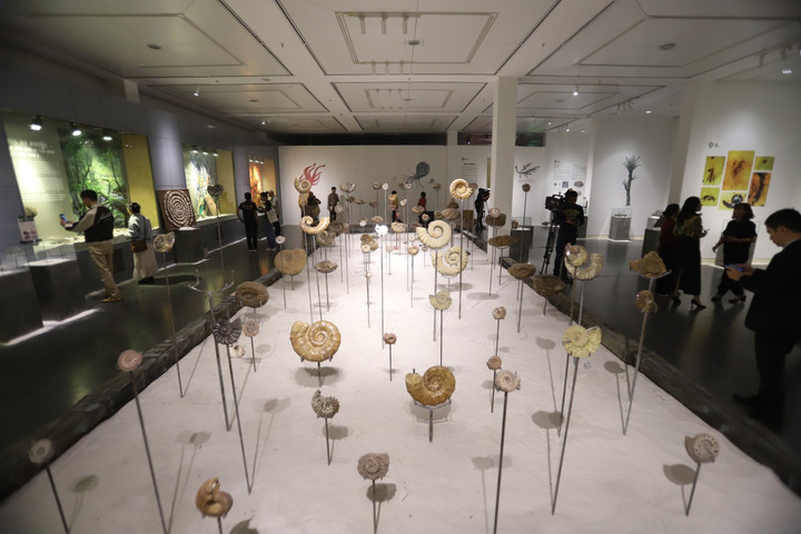 Bảo tàng Hà Nội trưng bày mẫu hóa thạch với hiệu ứng 3D độc đáo