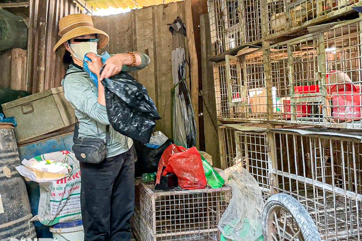 Cảnh buôn bán chim trời tấp nập "né" cơ quan chức năng ở Hà Nội