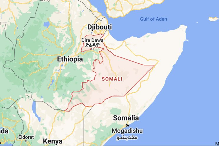 WHO quyết liệt ứng phó bệnh Leishmania bùng phát tại Ethiopia