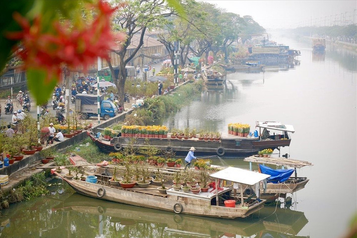 TP Hồ Chí Minh tổ chức Hội hoa Xuân Giáp Thìn và 6 chợ hoa Tết