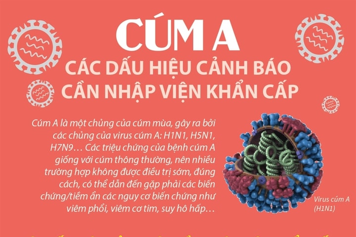 Cúm A: Các dấu hiệu cảnh báo cần nhập viện khẩn cấp