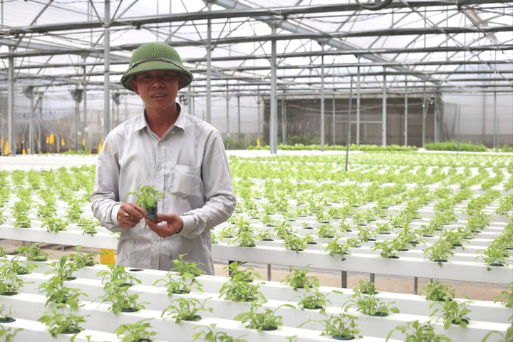 8.094 hộ nông dân Thanh Trì đạt danh hiệu sản xuất - kinh doanh giỏi các cấp