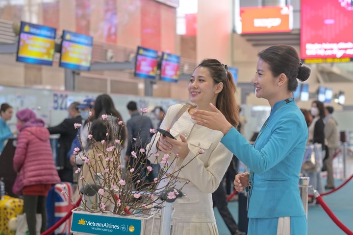 Vietnam Airlines, Vietjet fv88 slot vận chuyển cành đào, cành mai dịp Tết Giáp Thìn 2024