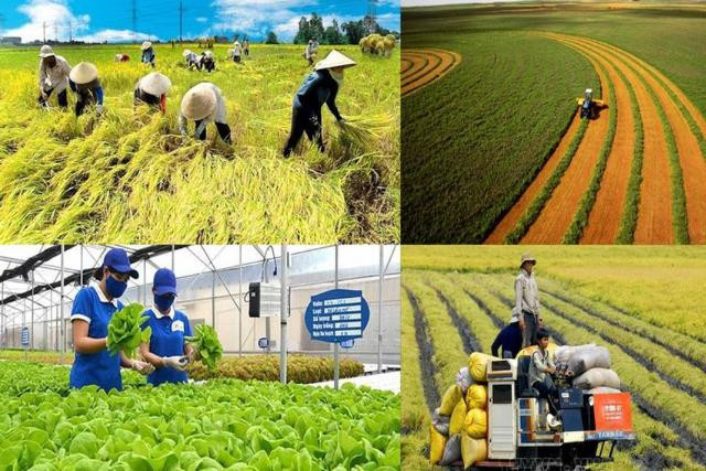 Triển khai các giải pháp hỗ trợ nông dân, phát triển nông nghiệp
