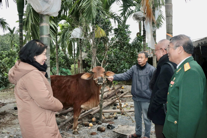 Báo Hànộimới và Công ty Cổ phần Ao Vua tặng bò tại huyện Mỹ Đức